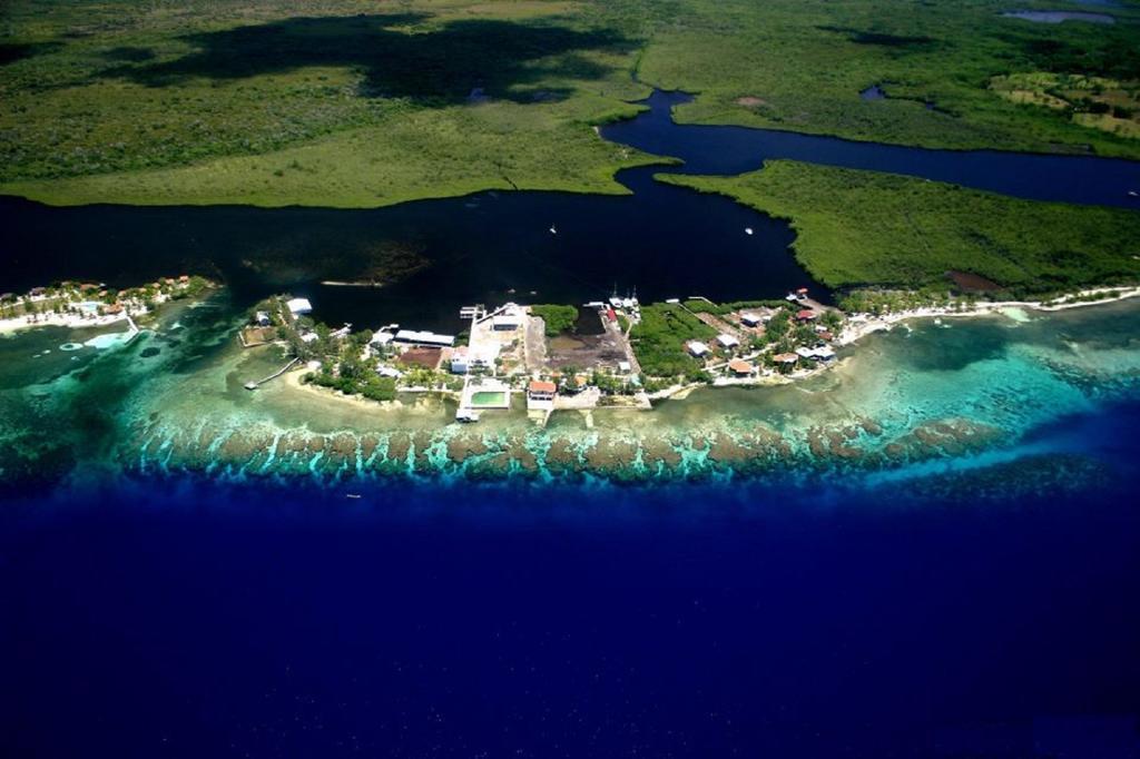 Coral View Beach Resort Útila Eksteriør billede
