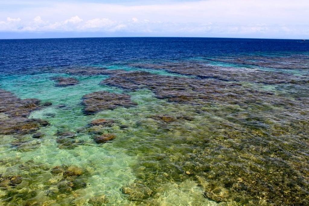 Coral View Beach Resort Útila Eksteriør billede